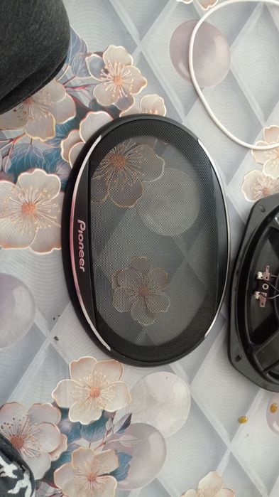 Pioneer kalonka sotiladi