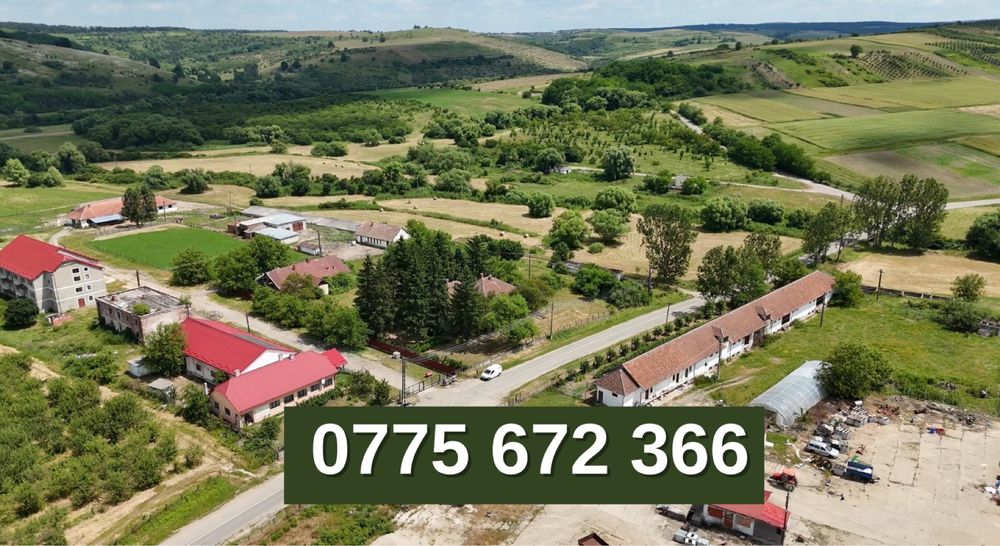 Teren de vanzare Cehal 64 Ha