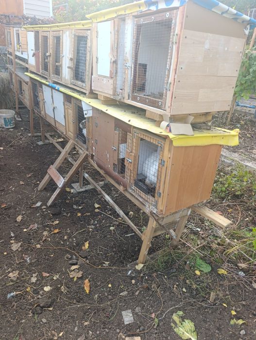Продам кроликов с клетками