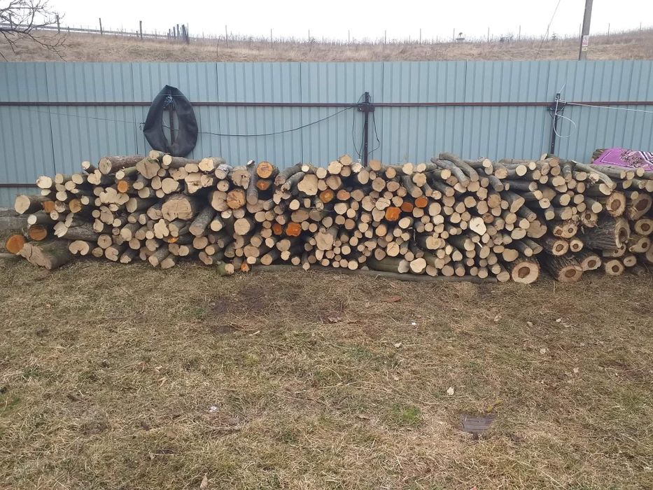 Vând lemne de foc esență tara