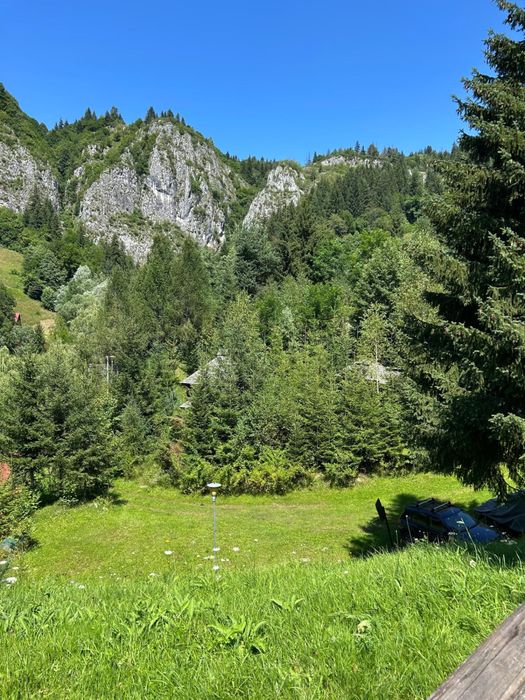 Pensiune de inchiriat in Fundata Dambovicioara