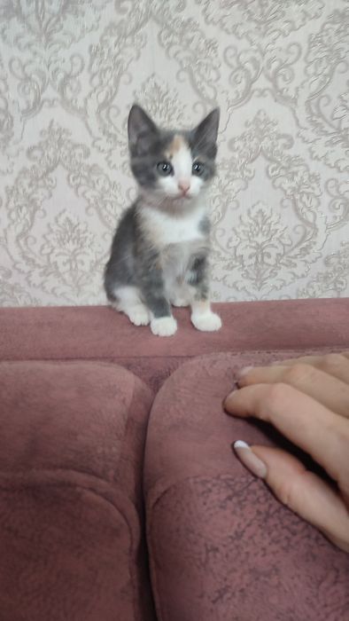 Девочка полтора месяца