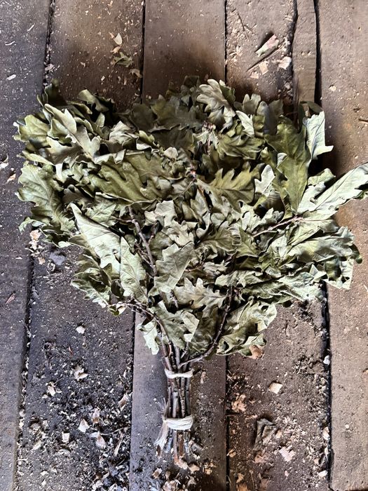 Дубовые веники этого глда