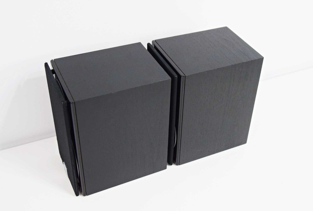 Boxe Dali Zensor Pico, boxe de raft