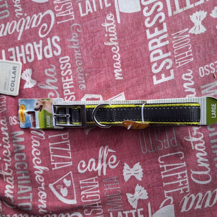 Accesorii catei, zgarda