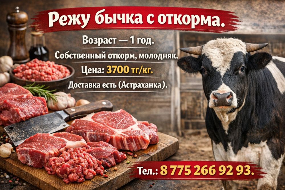 Кос мясо бычки откорм с дома ет