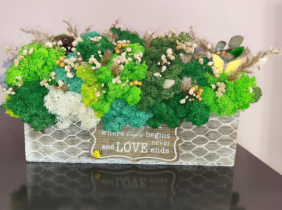 Различни видове кашпи със скандинавски мъх