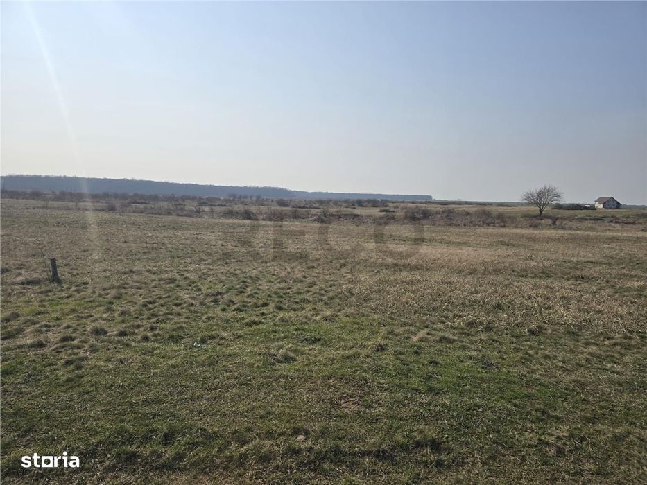 RECO Teren Grigorescu