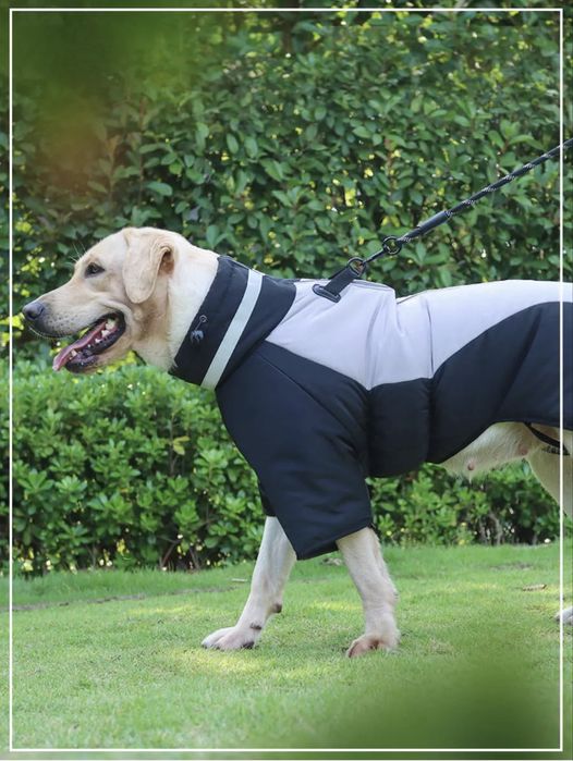 Куртка для собак