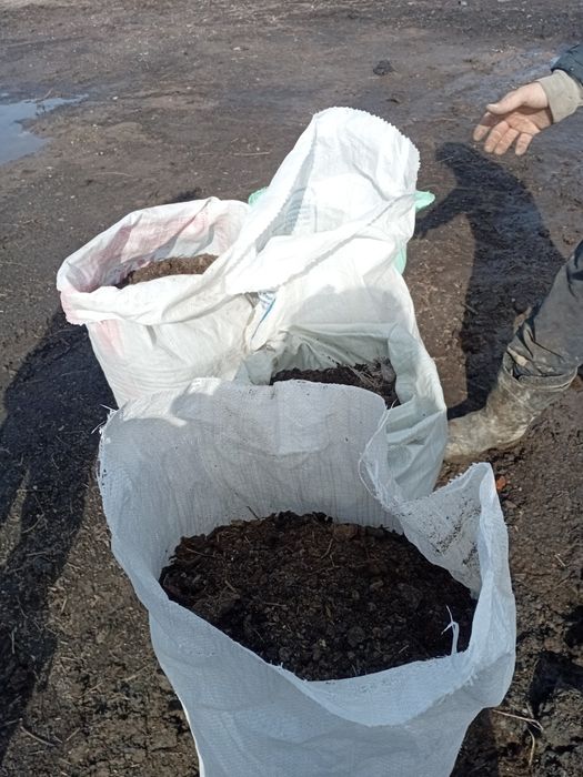 Перегной  хоршый