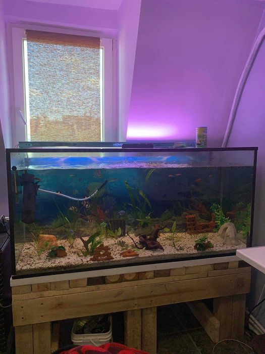 Дава се под наем Тристаен апартамент в Бургас, Възраждане - 100 кв.м за 150 € - Снимка #6