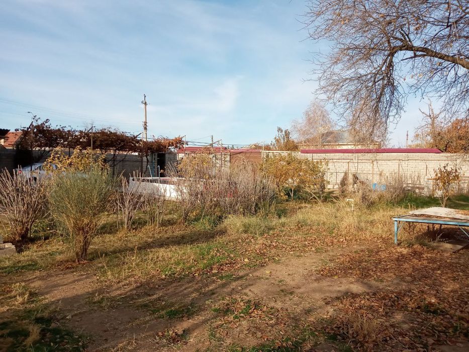 Узбекистан боги ёнида болта ер сотилади