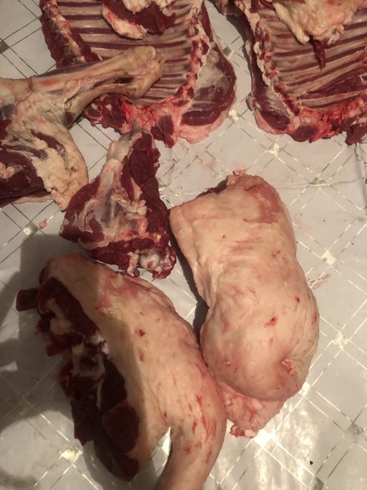 Продам баран Продам баран! Жирная КОНИНА!!!