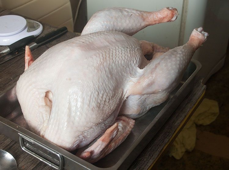 Инкубационное яйцо индейка Биг-6 Испания