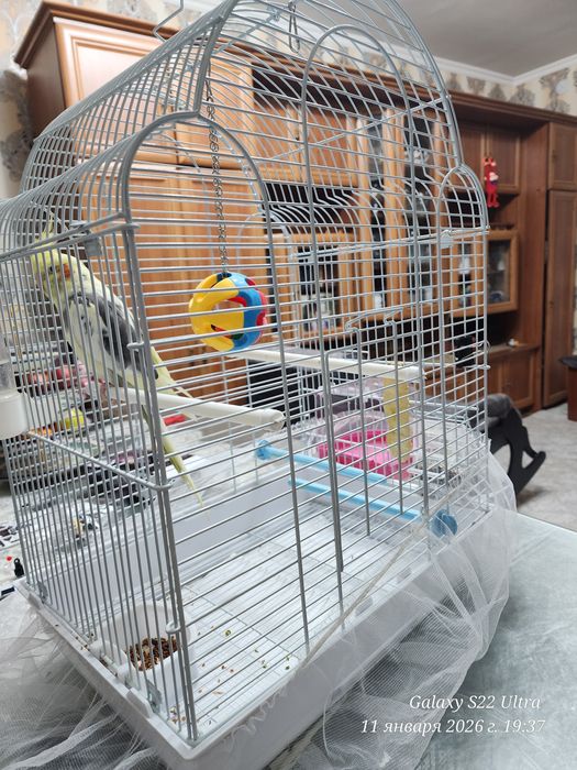Продам клетку для птицы и попугая