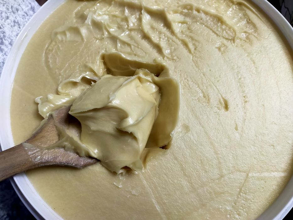 Мёд Жантак оптом