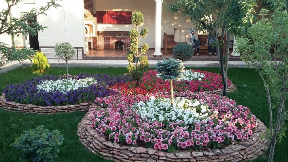 Газон спорт мастер