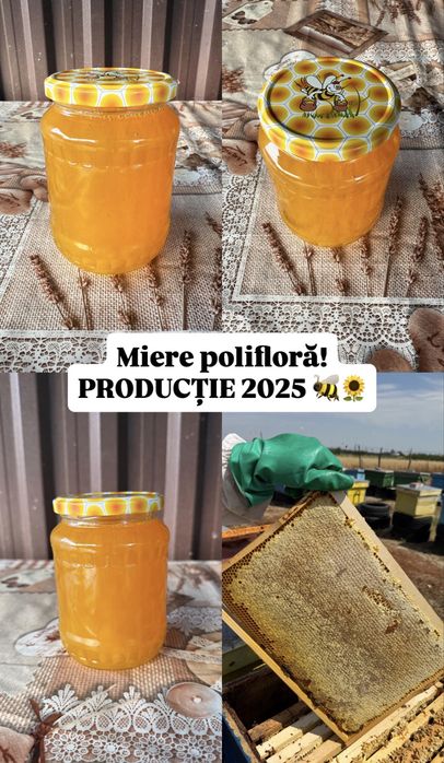 Miere naturala 2026