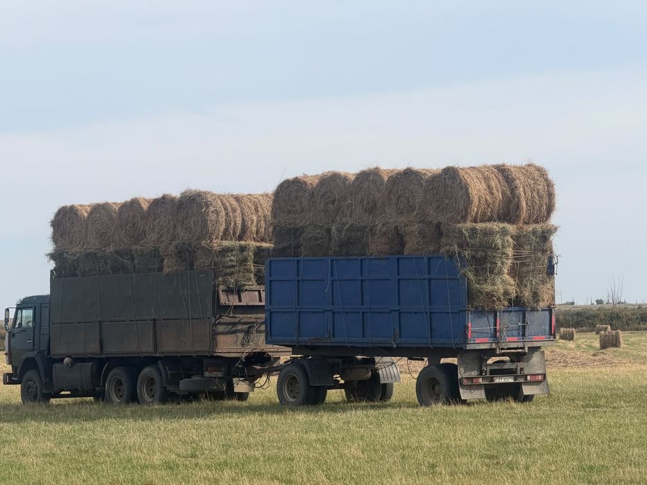 Продам сено в рулонах