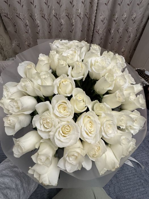 Срочно! Букет 51 белых розы