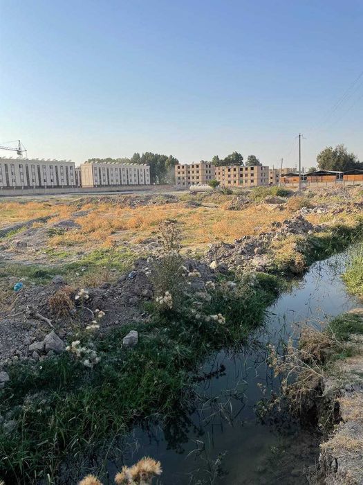 Срочно Продается 60 соток земли улица Корасув ор-р Тойтепа