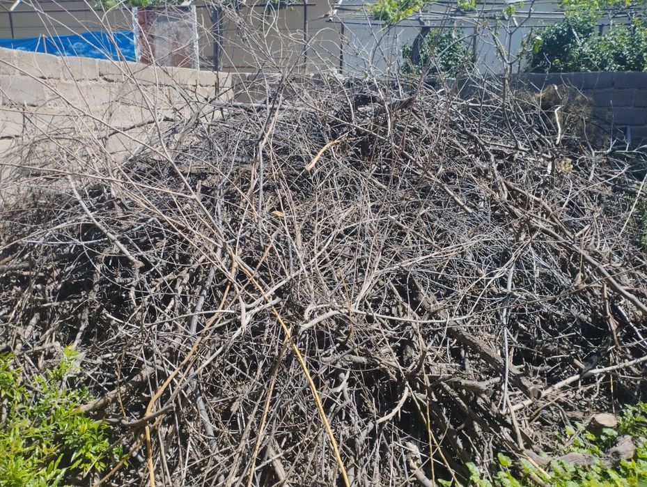 Продаются дрова.