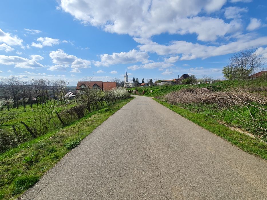 Vand/Schimb/Rate Teren intravilan ,construibil ,casa - Paleu - Oradea