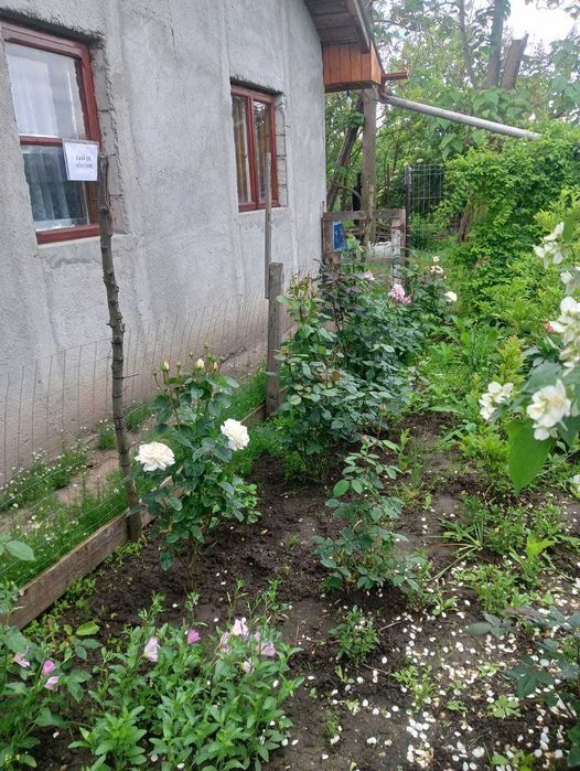 Casa de vanzare la 55km de Bucuresti