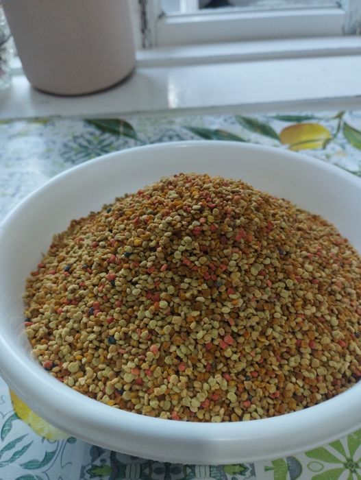 Пчелиная пыльца, свежая , горная , веянная высушенная.