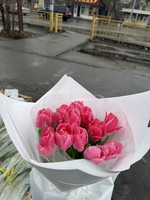 Продается тюльпаны тульпан сатылады