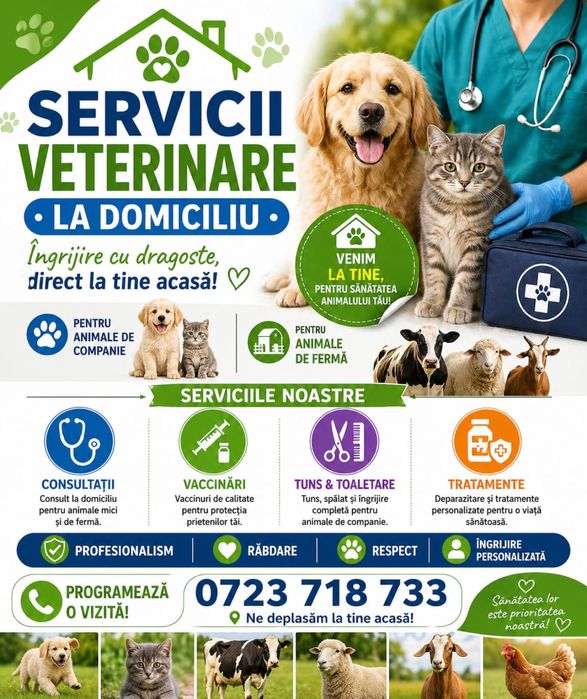 Veterinar la domiciliu.