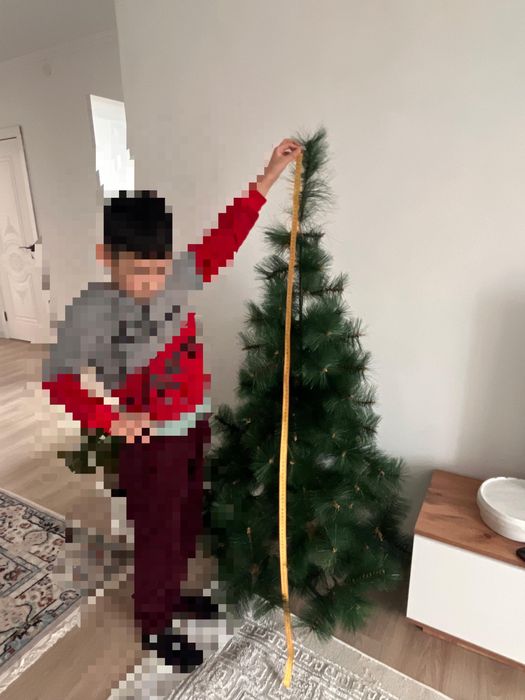 елочкака метровая