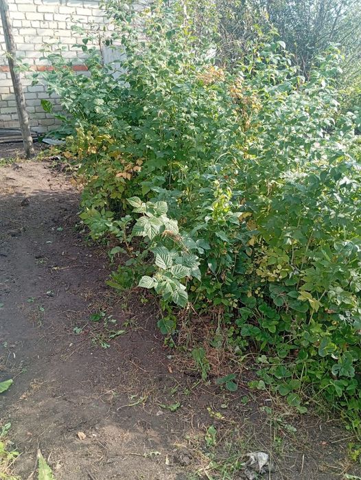 Продам дачу.новопавловка