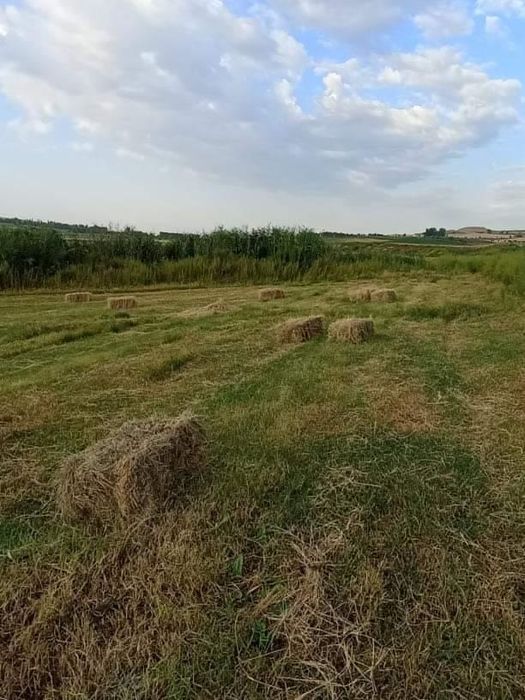 Chorva xayvonlar uchun ajiriq pres