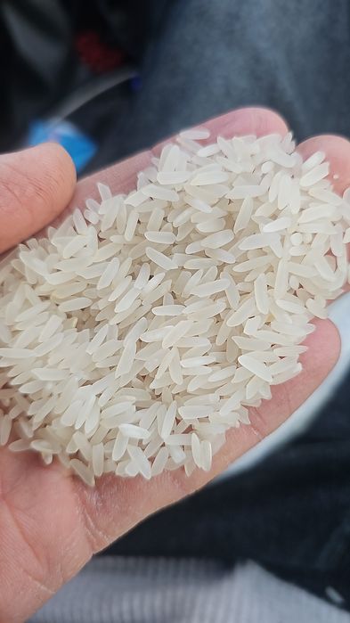 Лазер Курш  Хорезм