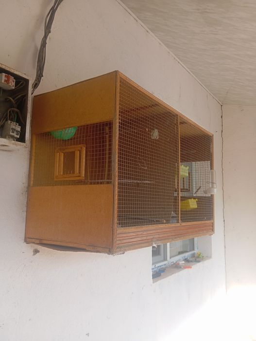 Вальер для разных птиц