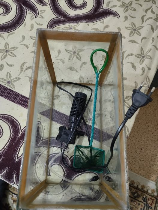 Аквариум в хорошем состоянии