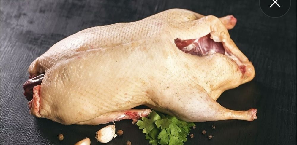 Продам мясо гуся,уток