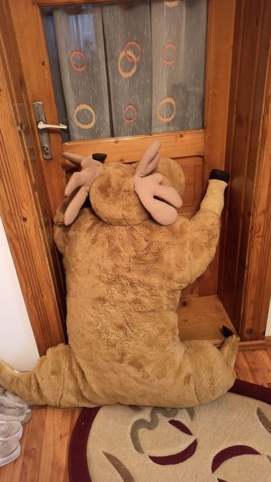 Vând ren mare de 1.2 metri