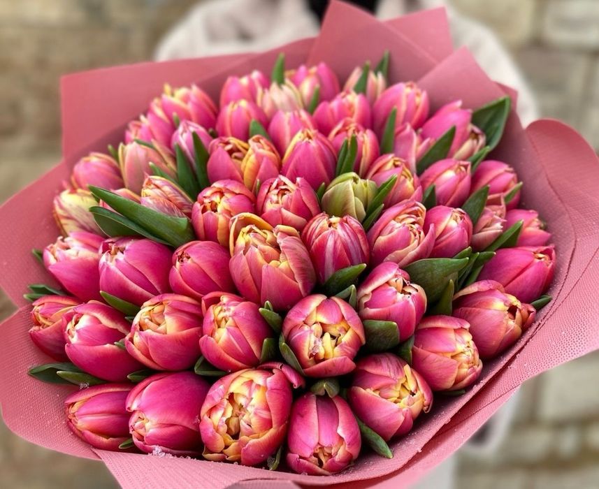 Тюльпаны крупные