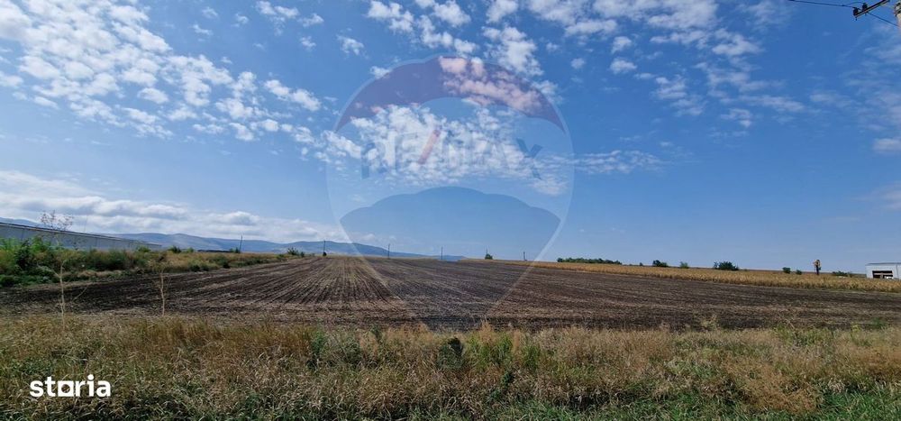 Teren intravilan,  4.874mp,  DN E 85, com. Nicolae Bălcescu, Bacău