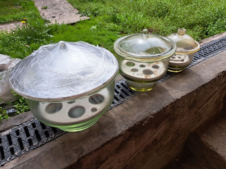 Эксикатор 1, 3 ва 5 л.