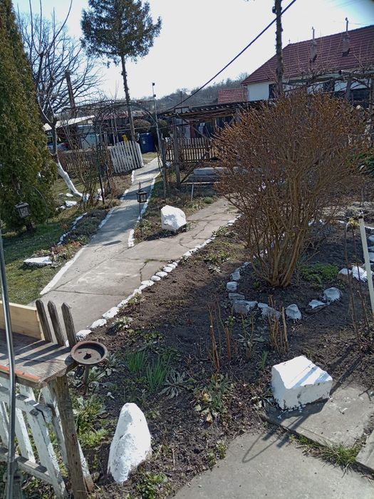 Casa de vanzare in Tichindeal