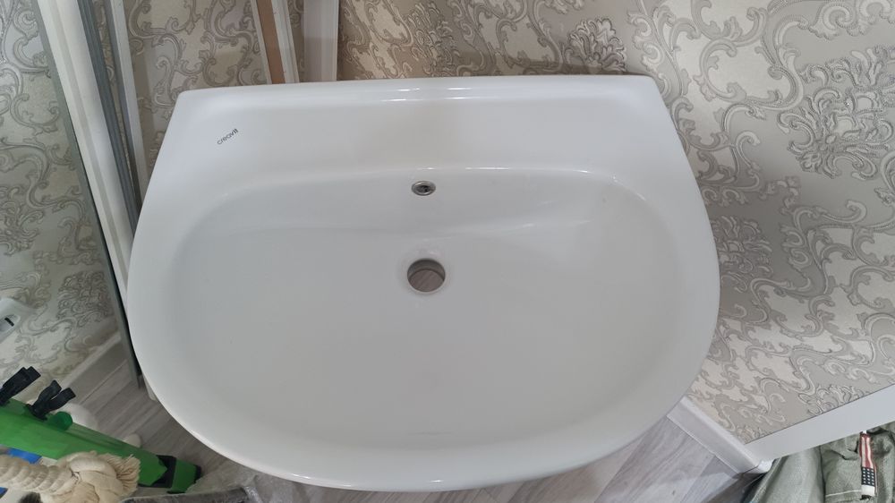 Раковина тюльпан