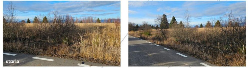 Cota 3/20 din teren extravilan- Judetul Harghita, loc. Gălăuțaș  R2980