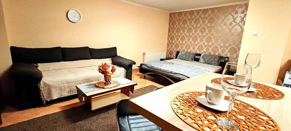 Cazare garsoniera in regim hotelier Tineretului Timpuri Noi