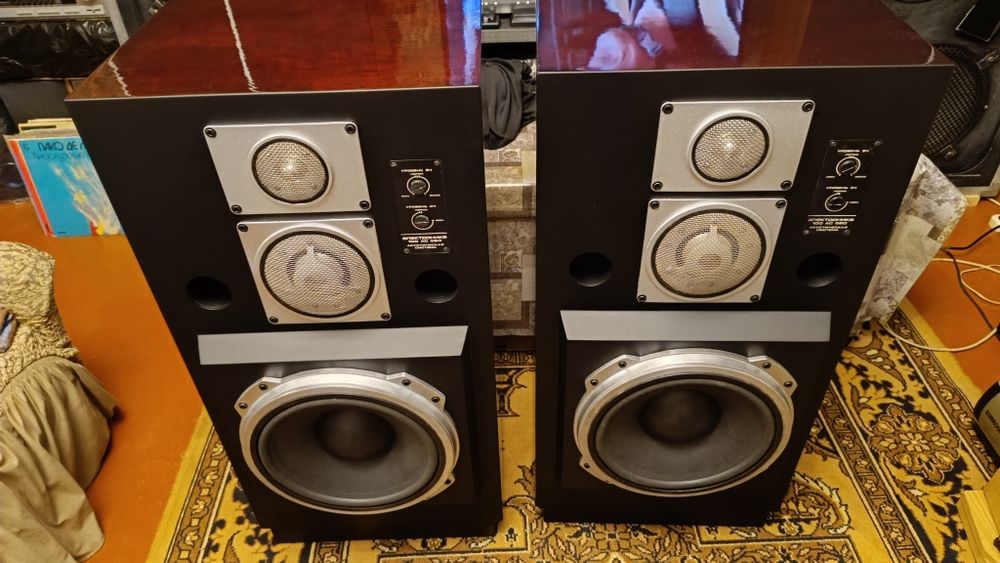 Колонки Электроника 100АС-060