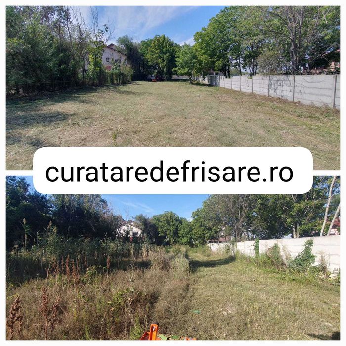 Igienizare, curatare teren si gradini, curatare ambrozie, amenajari