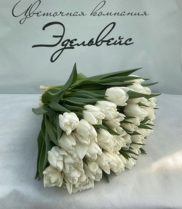 Тюльпаны на 8 марта