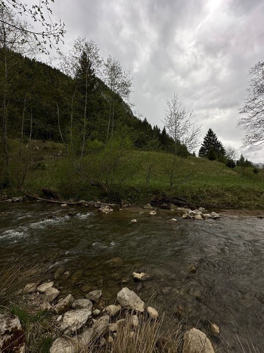 Teren intravilan 3512mp - Lacu Rosu / Cheile Bicazului